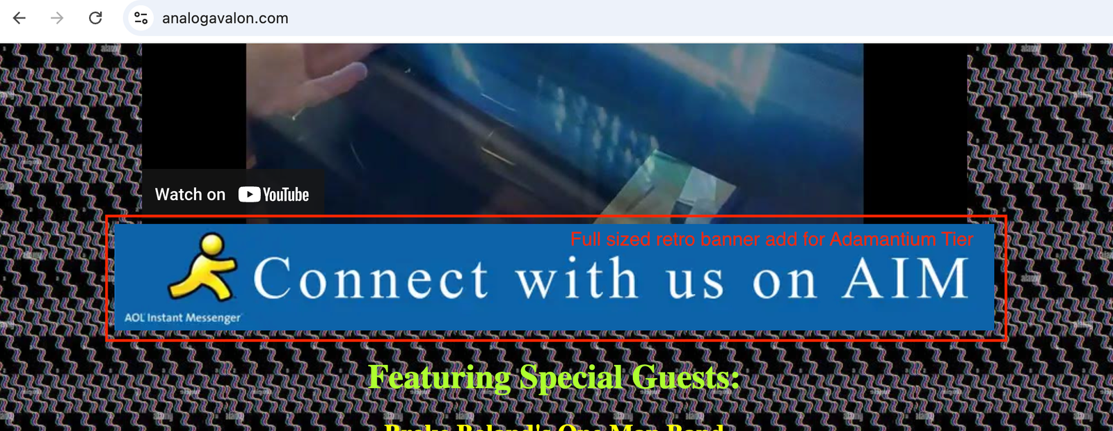 Website Example